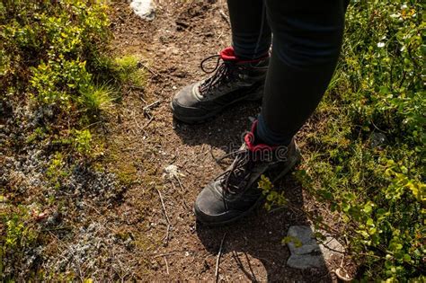 Hiker S Legs While Walking On A Path Leading Travel Concept Trekking