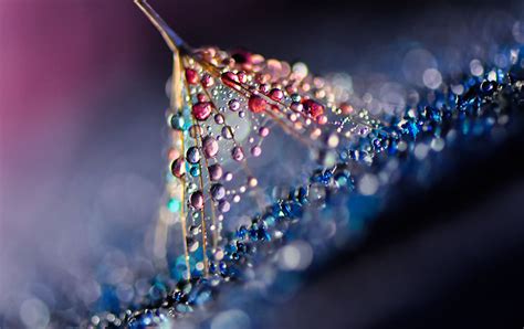 Stunning Macro Photos Of Water Droplets Reveal Their Hidden Beauty