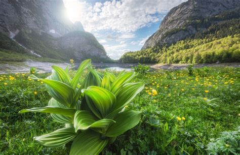 Cada uno de los fondos de pantalla que te presentamos los puedes descargar sin costo alguno para que de esa forma cuentes con más opciones a elegir en el momento que desees, además recuerda que puedes compartir este contenido con las. Fondos de pantalla : paisaje, bosque, montañas, puesta de ...