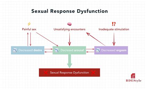 What Happens In Our Bodies During Sex The Sexual Response Cycles