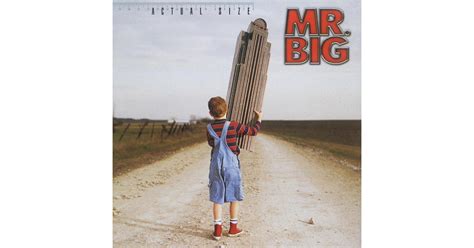 Mr Big Actual Size Cd