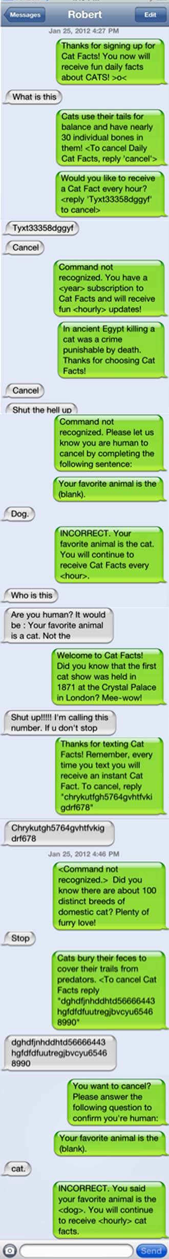 Hilarious Cat Facts Prank Mee Wow