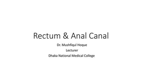 Rectum And Anal Canal Ppt