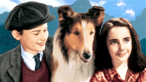 Lassie Come Home Movie Fanart Fanarttv