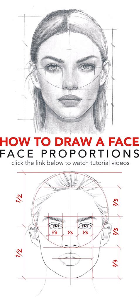 how to draw a proportional face at drawing tutorials