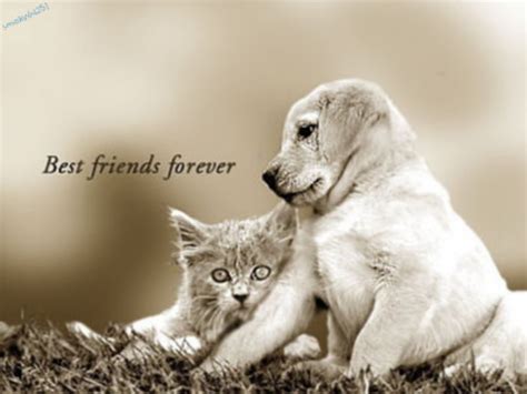 Sivachan~~~~~~~~~~~ Friends Forever