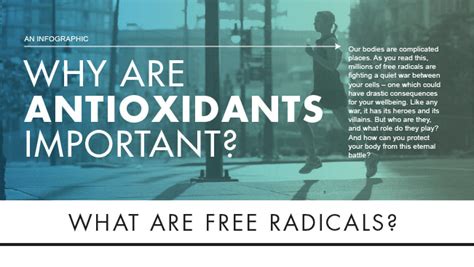 why are antioxidants so important antioxidants health and wellness health