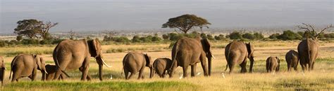 Visit Lindi 2022 Travel Guide For Lindi Tanzania Expedia
