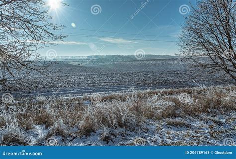 Winter Moring Among Fields Stock Photo Image Of Winter 206789168