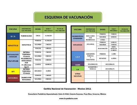 Comparación de esquema de vacunación en niños y adolescentes de eua y de méxico. Cómo afecta en plan de vacunación infantil a tu bebé ...