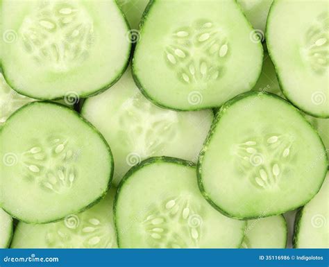 Close Up Fresh Green Sliced Cucumber Royalty Free Stock Image Image