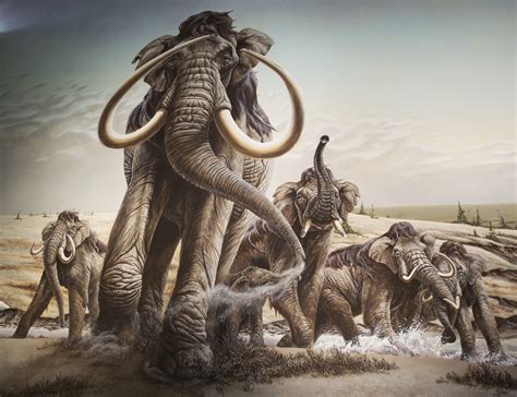 Multimedia Gallery Herd Of Columbian Mammoths Moves Across The Plains