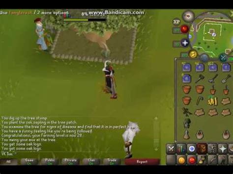 Took me about 10m xp and i made 100m along with 13 elite clues / 4 master clues. Farming pet on 20 farming holy! - YouTube