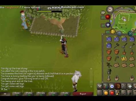Looking for osrs farming guide? Farming pet on 20 farming holy! - YouTube