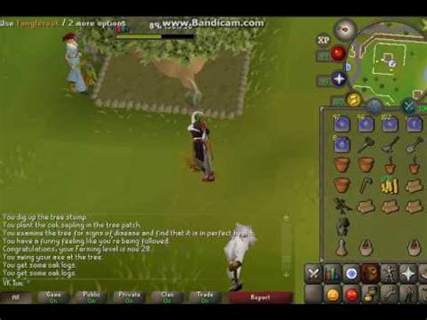 Using our farming osrs calc. Farming pet on 20 farming holy! - YouTube