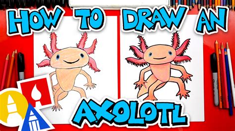 Complete the legs of axolotl by drawing a four toes foot at the end of each leg. How To Draw An Axolotl - Art For Kids Hub
