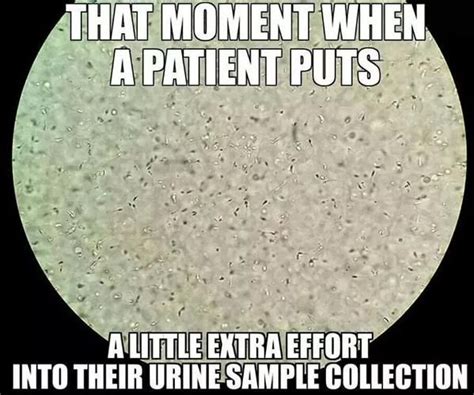 Laboratory Humor Medical Laboratory Scientist Lab Humor Work Humor