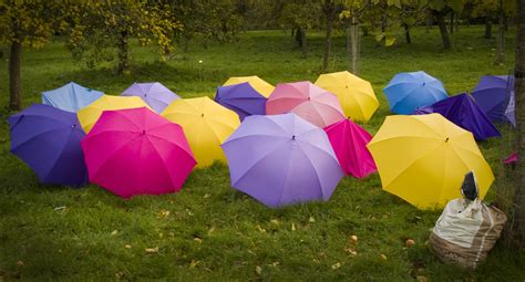 more umbrellas at barrington court either they expected lo… flickr