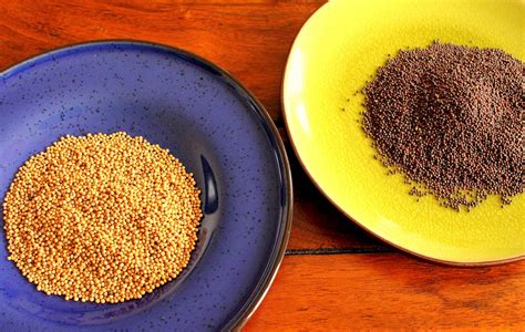 Dal 1978 vendita di alimenti biologici, senza glutine, vegan e senza lattosio. Ricetta per fare la senape in casa | Dissapore