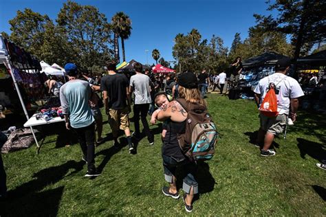 top ten list of music festivals in san francisco and the bay area