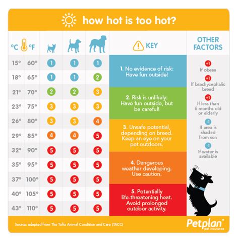 How Hot Is Too Hot For Your Dog Use This Warm Weather Safety Chart
