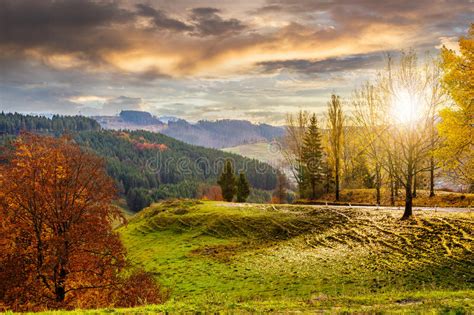 Forest Over Foggy Valley In Autumn Mountains At Sunset Stock Image