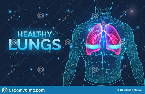 Healthy Lungs Respiratory System Disease Prevention Banner With
