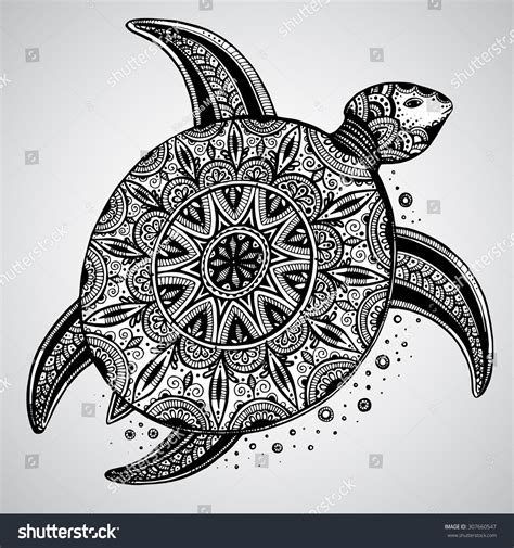 Hand Drawn Vector Monochrome Doodle Turtle Stock Vector
