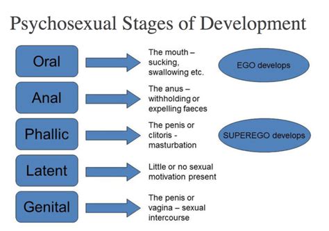 🎉 Psychosexual Stages Psychosexual Stages 2019 02 06