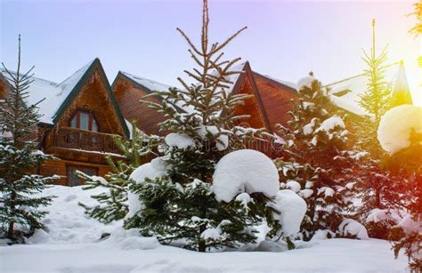 Christmas Winter Landscape Stock Image Image Of Year 98031521