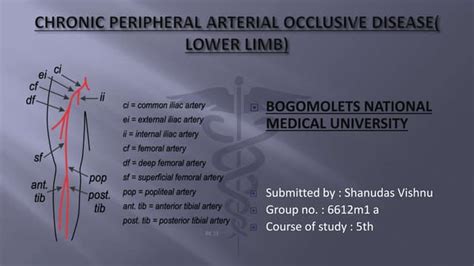 Chronic Peripheral Arterial Occlusive Disease Lower Limb Ppt