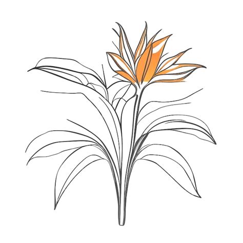 Buquês de flores tropicais strelitzia reginae flores do paraíso ilustração vetorial arte de