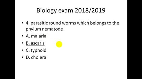 Released 2019 biology staar test for review purposes. Exam biology one revision 2019 - YouTube