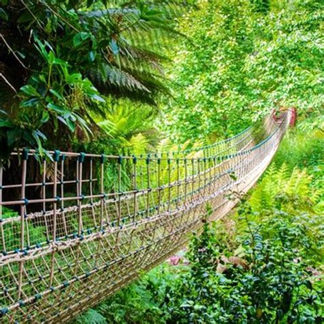 The Lost Gardens Of Heligan The Great Gardens Of Cornwall