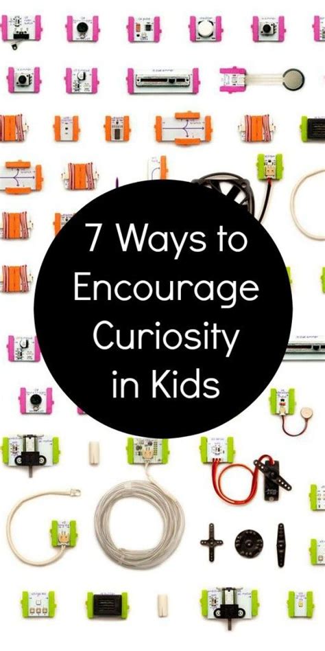 Fill a pail with water, add a few introducing your little one to the wonders of nature is a wonderful way to stimulate his curiosity about the world. 7 Ways to Encourage Curiosity in Kids and a New ...