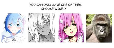 You Can Only Save One Of Them Choose Wisely Ranimemes