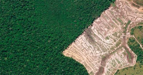 Satellites Deforestation Hsat