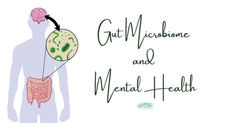Gut Microbiome And Mental Health Zarine Bharda