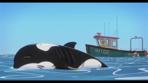 Morgan La Orca Sorda Que Ayudará A Pedir Un Mapa De Ruidos