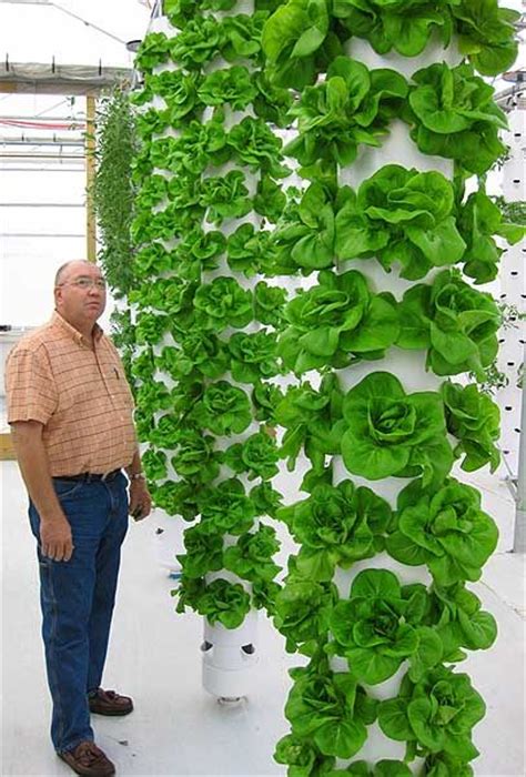 You can add this diy pvc vertical salad tower to your bag of 'salad growing' apparatuses. tower garden-I have something like this only shorter, for ...