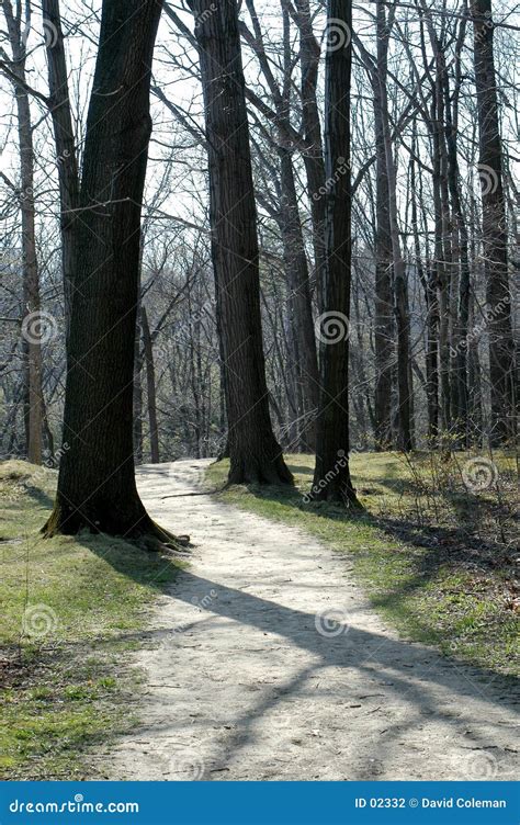 Forest Path Stock Photo Image Of Trail Dirt Quiet Plant 2332