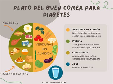 Como Usar El Plato Del Buen Comer Para Diabetes O Prediabetes