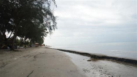 Altre opzioni di viaggio hotel vicino a un'attrazione a kampung bagan lalang hotel nei pressi di kampung bagan lalang, sungai pelek Bagan Lalang Beach (Sungai Pelek): AGGIORNATO 2021 - tutto ...