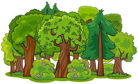 Bosque Mixto Con árboles De Dibujos Animados 1417741 Vector En Vecteezy