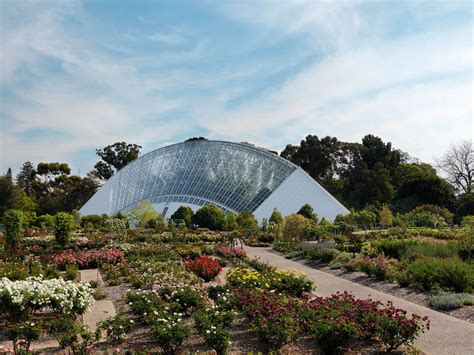 Adelaide Botanic Garden Travel Insider