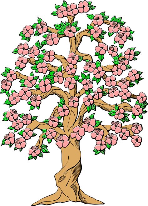 Spring Flowers Shrub Clipart 20 Free Cliparts Download Images On