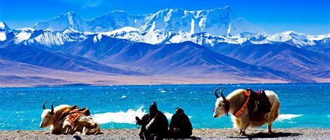 Namtso Lake Heavenly Lake In Tibet