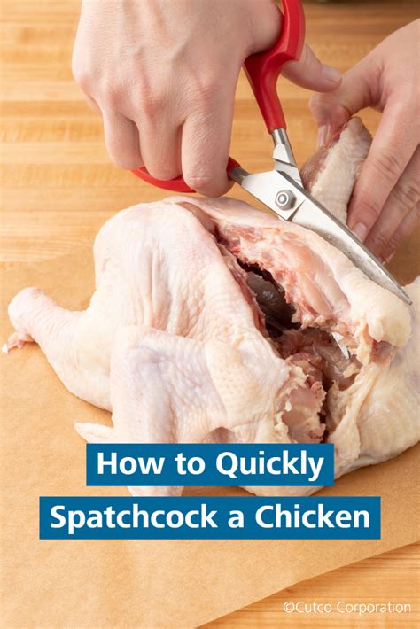 how to quickly spatchcock a whole chicken chicken spatchcock chicken stuffed whole chicken