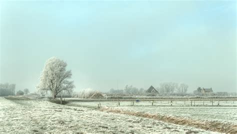 Wallpaper Winter Snow Freezing Sky Frost Tree Morning Fog