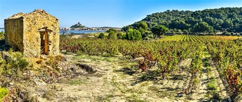 Languedocs Mediterranean Coast And Narbonne Itinerary Winetraveler
